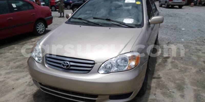 Big with watermark 56938165 1070115389850371 196729546769170432 n