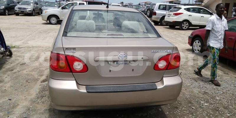 Big with watermark 57024173 1070115469850363 7137204703477104640 o