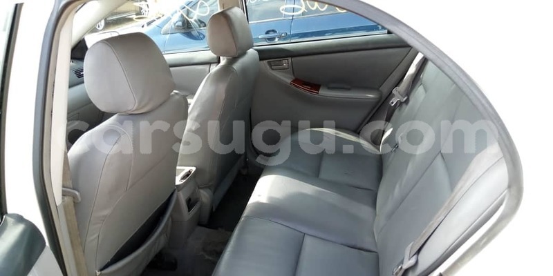 Big with watermark 57052964 1070106033184640 1224861365001256960 o