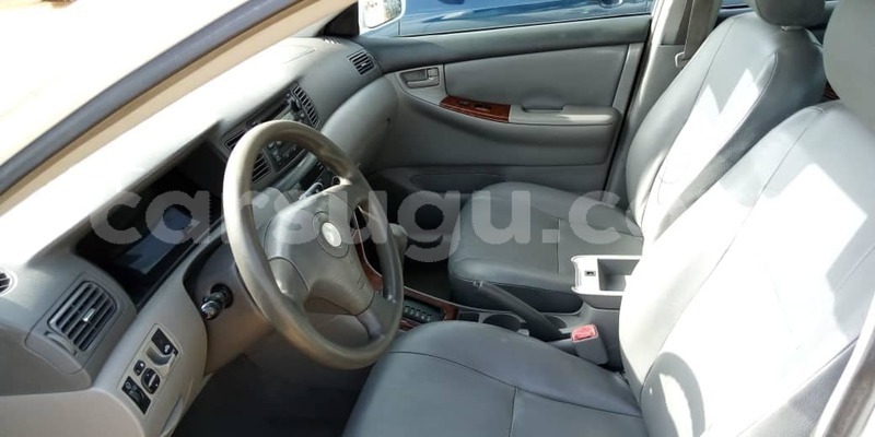 Big with watermark 57045341 1070105966517980 2757392317114482688 o