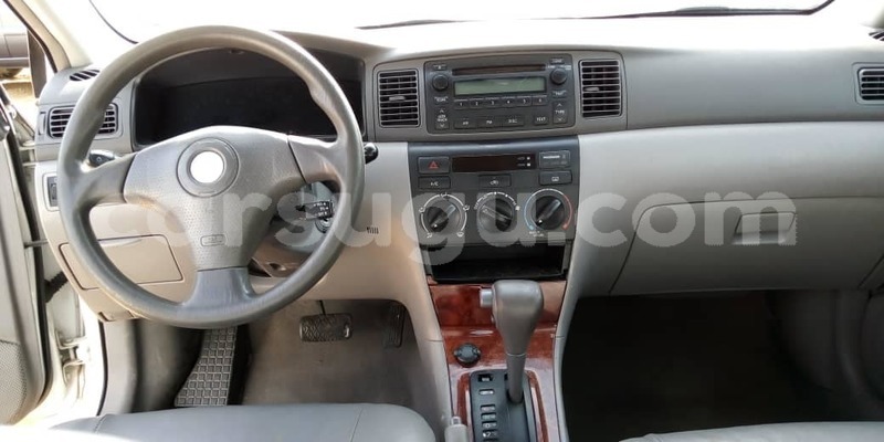 Big with watermark 57232158 1070105926517984 2967978643856293888 o