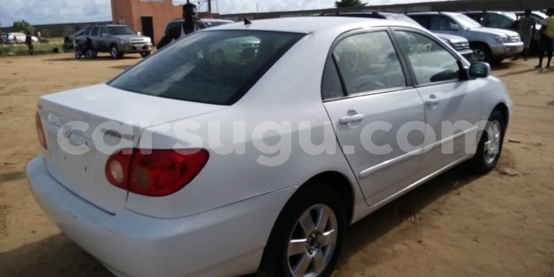 Big with watermark 56905122 1070105869851323 4459510637025820672 o