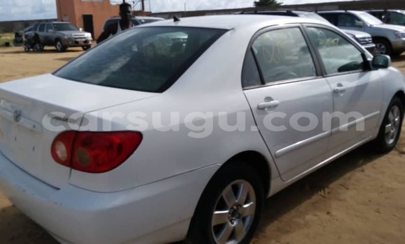 Acheter Occasion Voiture Toyota Corolla Blanc à Ouagadougou, Burkina-Faso Acheter Occasion Voiture Toyota Corolla Blanc à Ouagadougou, Burkina-Faso