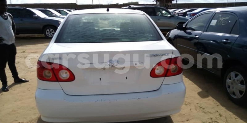 Big with watermark 57154578 1070105783184665 1767424616201977856 o