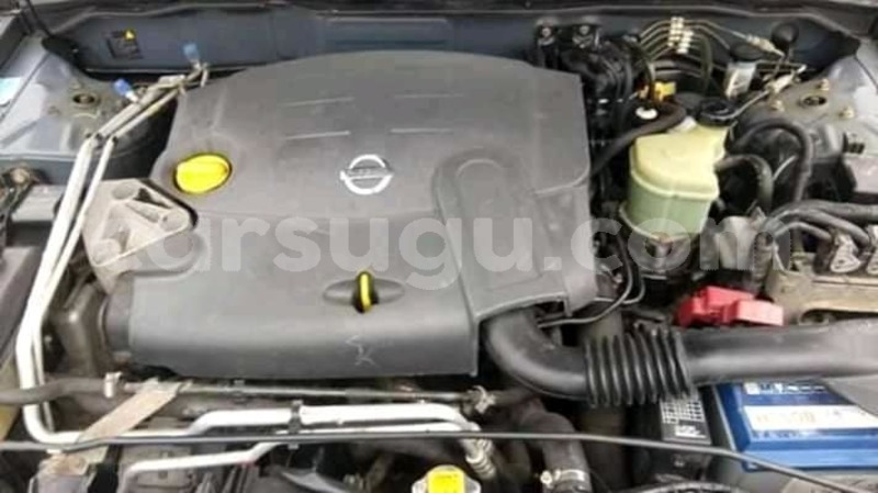 Big with watermark 56823332 1069036426624934 3262550418961465344 n