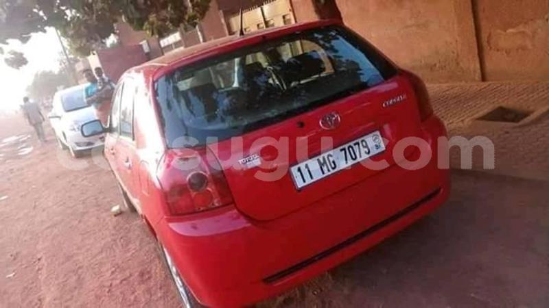 Big with watermark 56800766 1068863783308865 1185939984817848320 n