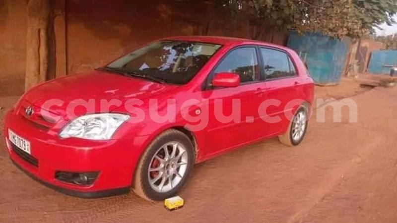 Big with watermark 56910278 1068863739975536 5122867309395836928 n