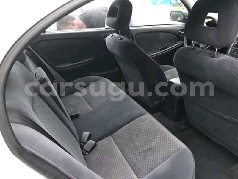 Big with watermark 56819215 1068861419975768 832509849039273984 n