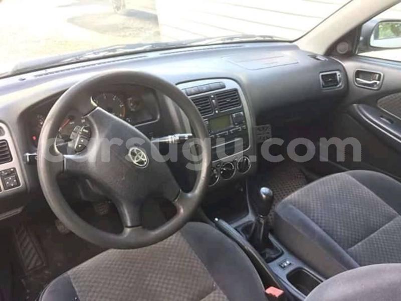 Big with watermark 56910143 1068861373309106 5857918556577988608 n