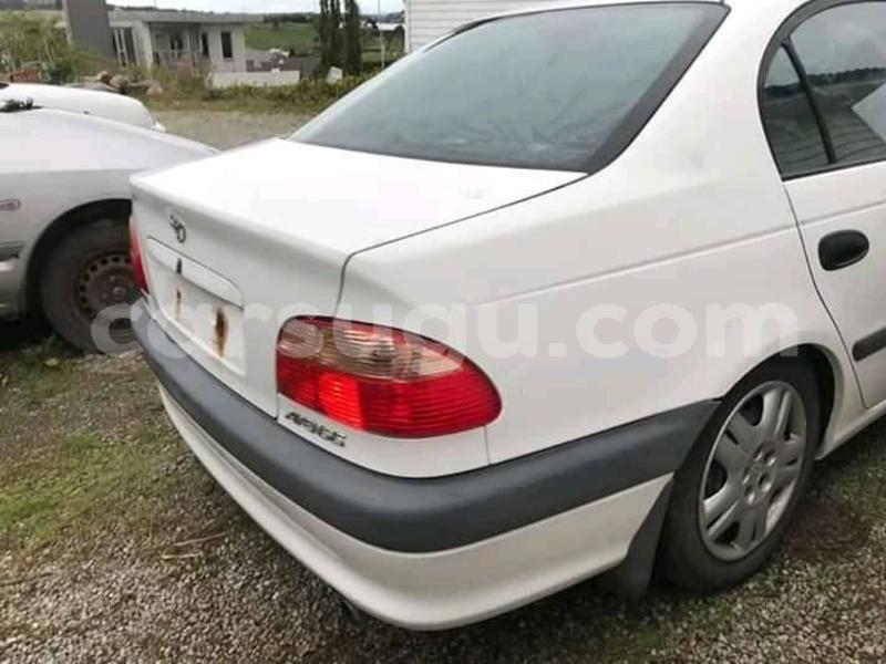 Big with watermark 57170557 1068861363309107 5390955465750347776 n