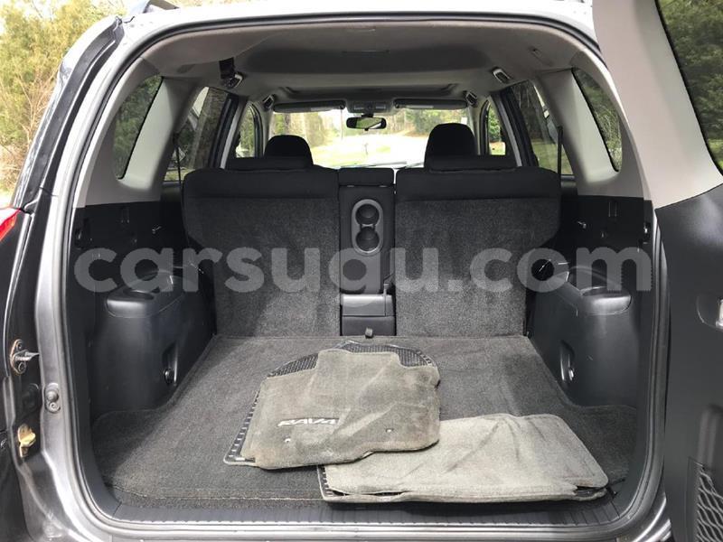 Big with watermark rav7