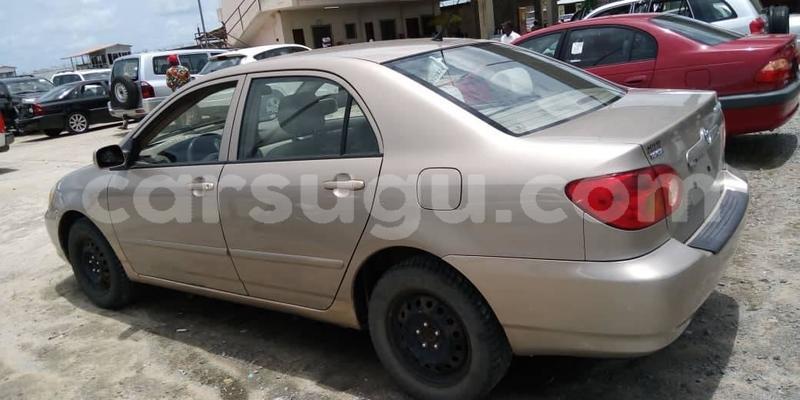 Big with watermark 57076232 1070115456517031 4117498989631242240 o