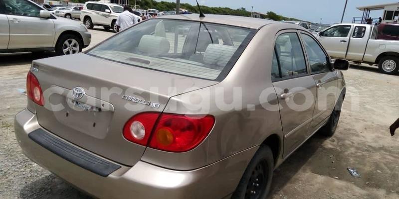 Big with watermark 57154889 1070115443183699 3170368296096628736 o