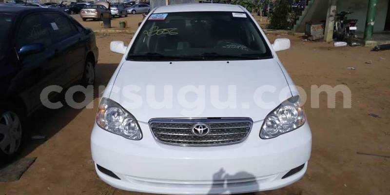 Big with watermark 56945028 1070105749851335 1195381332251770880 n