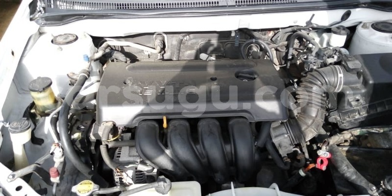 Big with watermark 57188233 1070106076517969 6810639021199327232 o