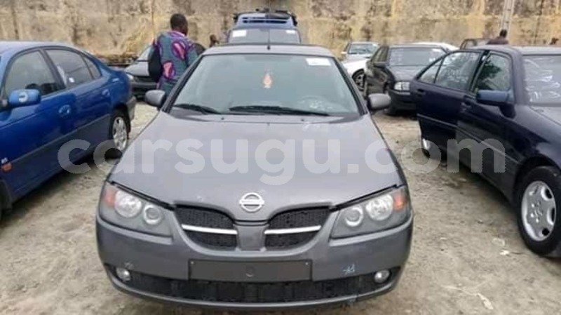 Big with watermark 57210719 1069036543291589 7105746988611665920 n