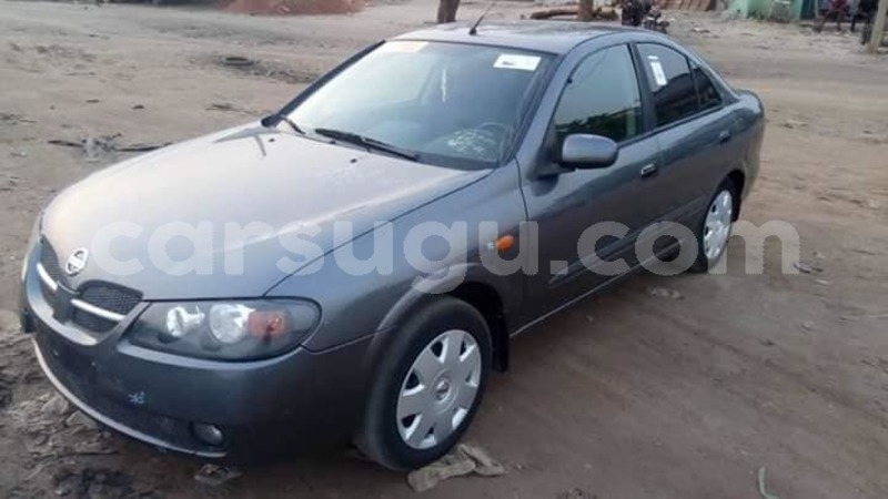 Big with watermark 56985524 1069036006624976 4340716192420331520 n