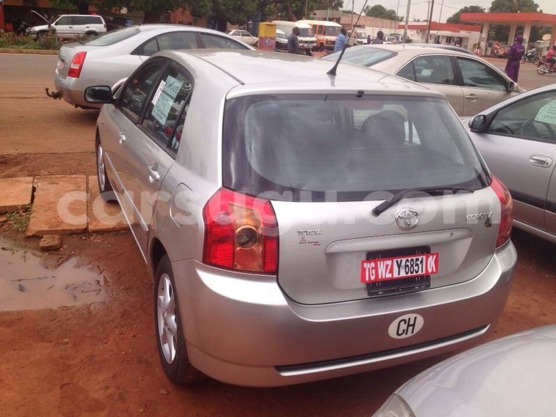 Big with watermark 31