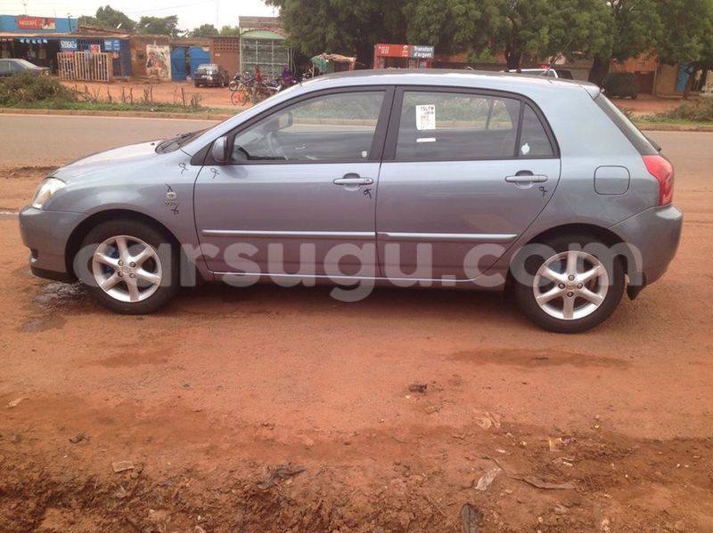 Big with watermark 33