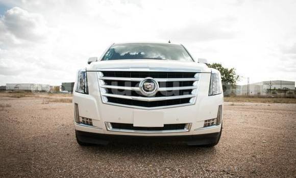 Sayi Sabo Cadillac Escalade White Mota in Ouagadougou a Burkina Faso
