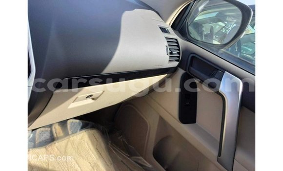 Buy Import Toyota Prado Other Car in Import - Dubai in Burkina Faso Buy Import Toyota Prado Other Car in Import - Dubai in Burkina Faso