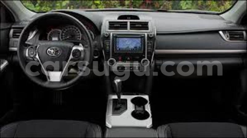 Big with watermark y1