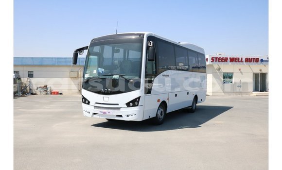 Sayi Imported Isuzu Rodeo White Mota in Import - Dubai a Burkina Faso