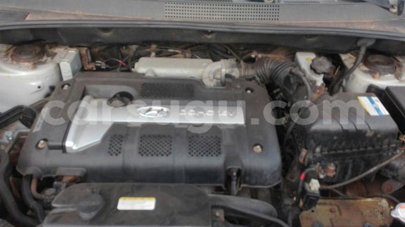 Big with watermark 61150243 1286138348208962 7063415043617980416 o