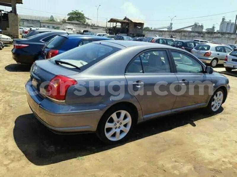 Big with watermark 60843814 1280596972096433 1999350041277366272 n