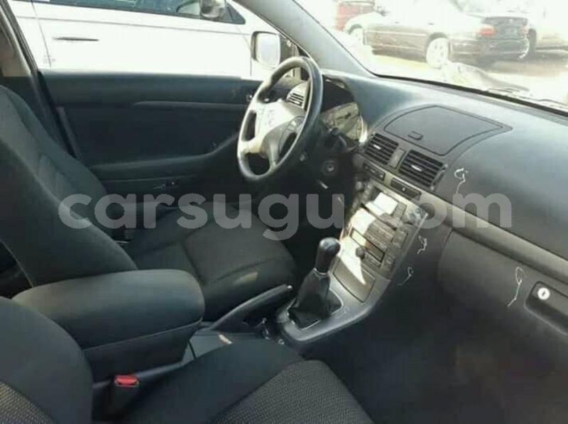 Big with watermark 60801043 1280596712096459 8837007396065771520 n