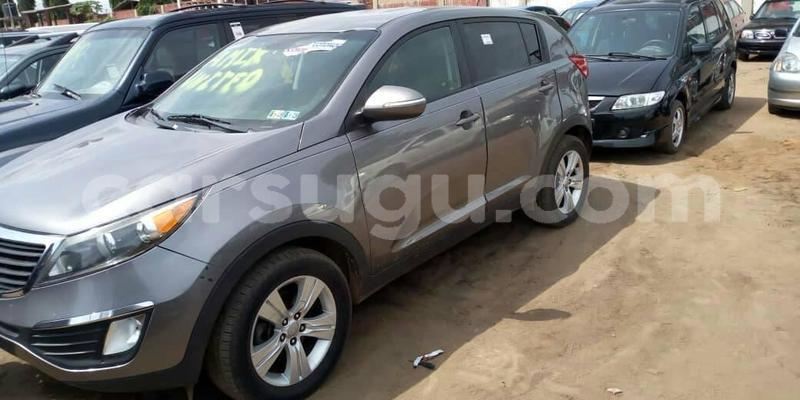 Big with watermark 60461919 1273337946155669 1104789781805531136 o