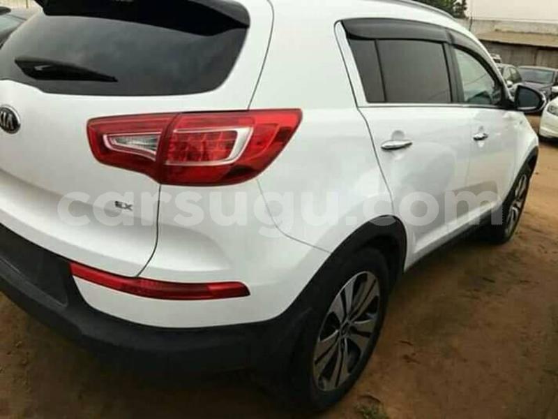 Big with watermark 60154806 1273337782822352 1137993018624704512 n