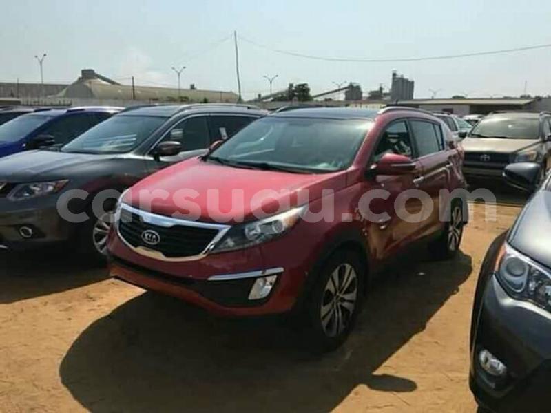 Big with watermark 60261391 1273337552822375 2826003990171353088 n