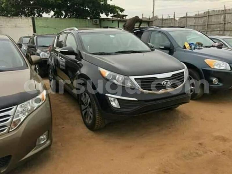 Big with watermark 60084401 1273337622822368 2859171239459553280 n