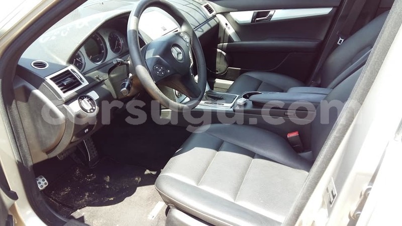 Big with watermark 45659462 10213456150414771 9054881388955697152 n