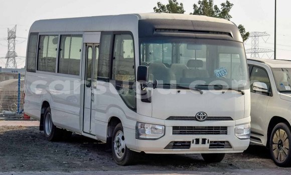 Sayi Imported Toyota Coaster White Mota in Import - Dubai a Burkina Faso Sayi Imported Toyota Coaster White Mota in Import - Dubai a Burkina Faso