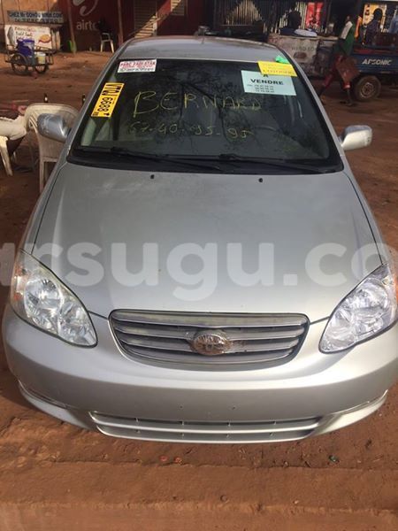 Big with watermark 14572839 1276538899057194 7605807282165903254 n