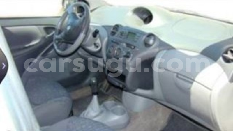 Big with watermark 14695326 1276538865723864 3907257530309395993 n