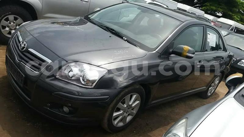 Big with watermark 60974676 1282759951880135 6878853950947196928 o