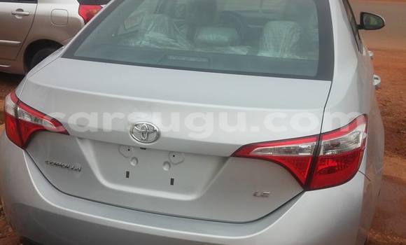 Acheter Neuf Voiture Toyota Corolla Gris à Ouagadougou, Burkina-Faso Acheter Neuf Voiture Toyota Corolla Gris à Ouagadougou, Burkina-Faso