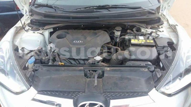 Big with watermark 321