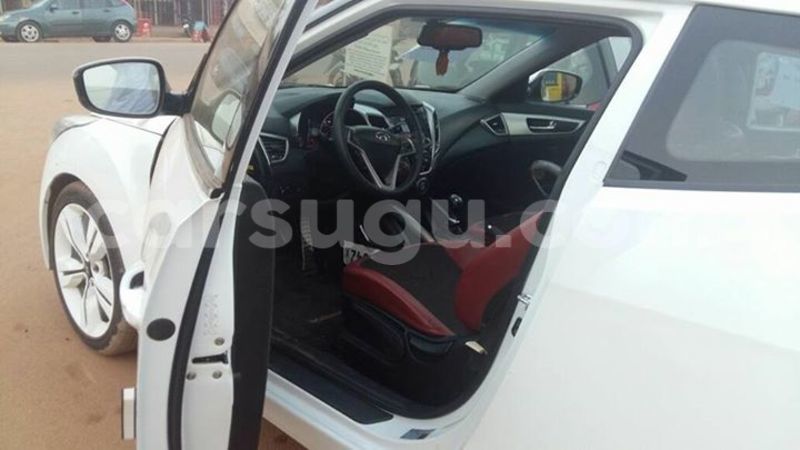 Big with watermark 333