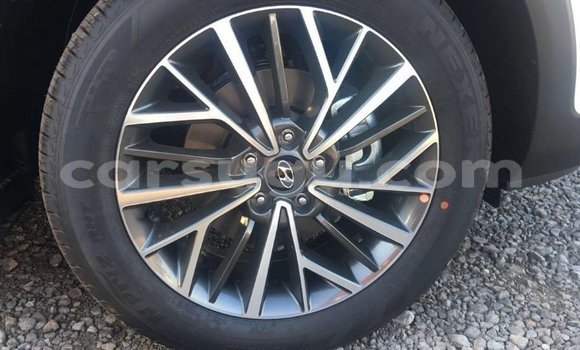 Acheter Import Voiture Hyundai Tucson Blanc à Import - Dubai, Burkina-Faso Acheter Import Voiture Hyundai Tucson Blanc à Import - Dubai, Burkina-Faso