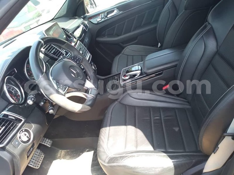 Big with watermark 64613715 1303351243154339 3365968927891914752 n