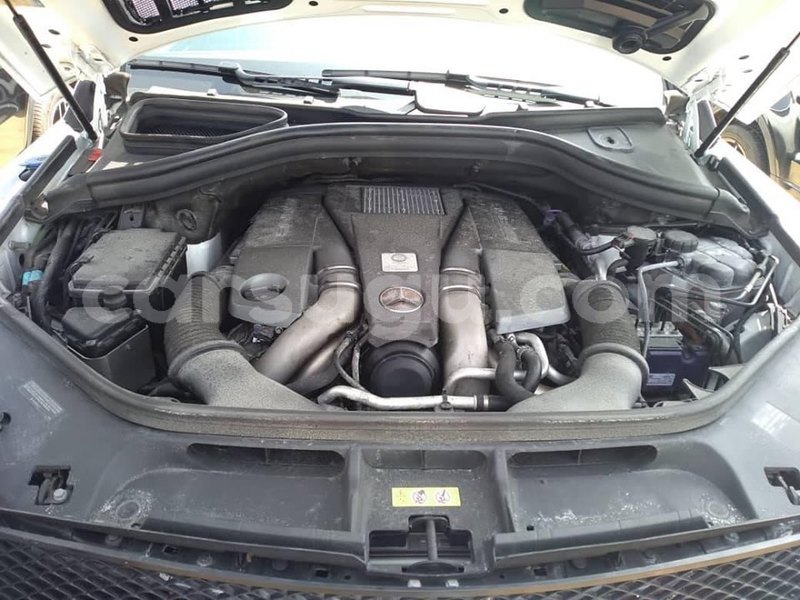 Big with watermark 64597611 1303351389820991 6712441272650432512 n