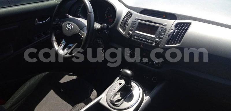 Big with watermark 64303302 1299597386863058 7141269653799567360 o