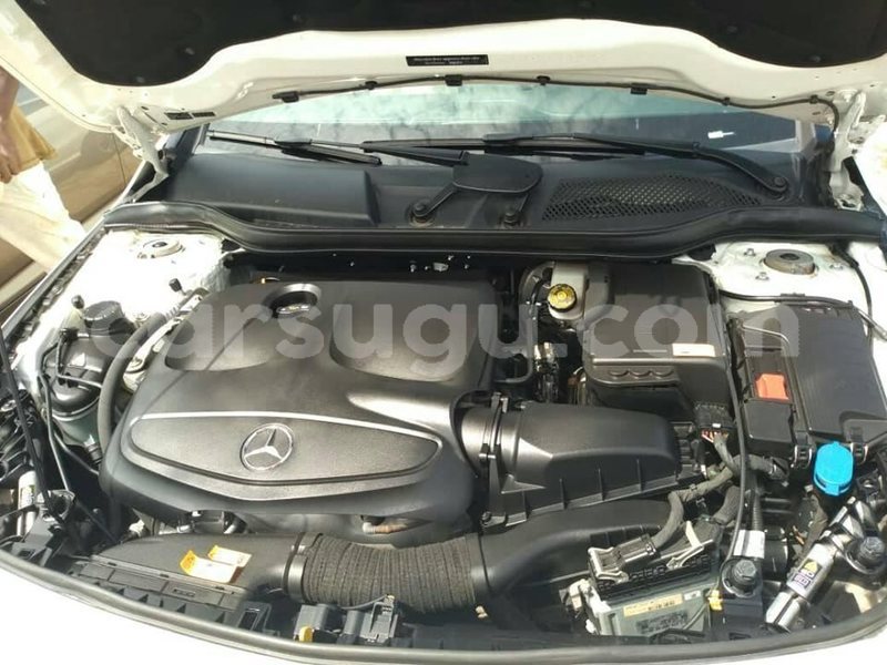 Big with watermark 62400270 1296073020548828 5168850251469029376 n