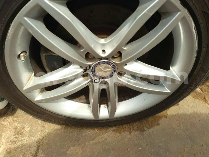 Big with watermark 62147201 1296072963882167 4323005813170896896 n