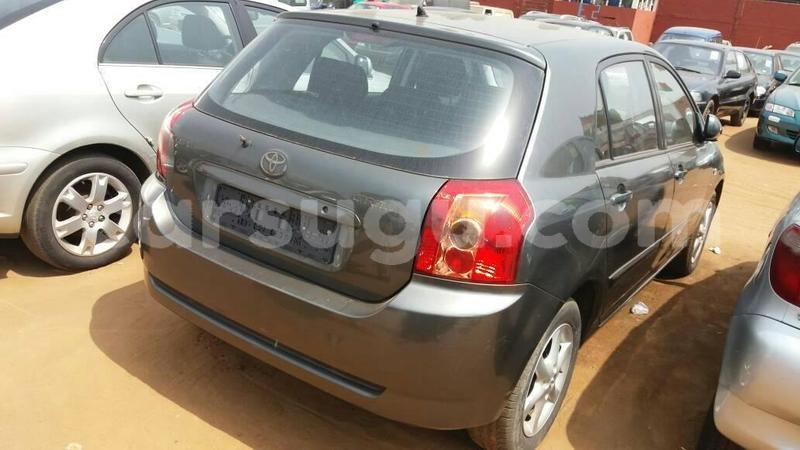 Big with watermark 61105400 1285997498223047 2550963587434676224 o