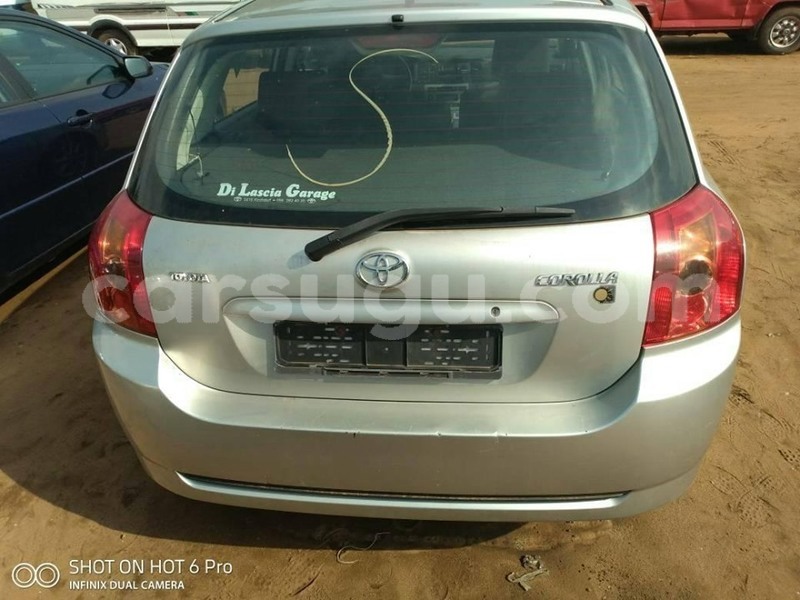 Big with watermark 61247590 1285997728223024 4187034218095706112 n